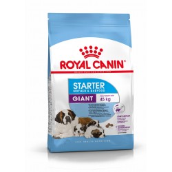 Royal Canin Giant Starter Lactancia