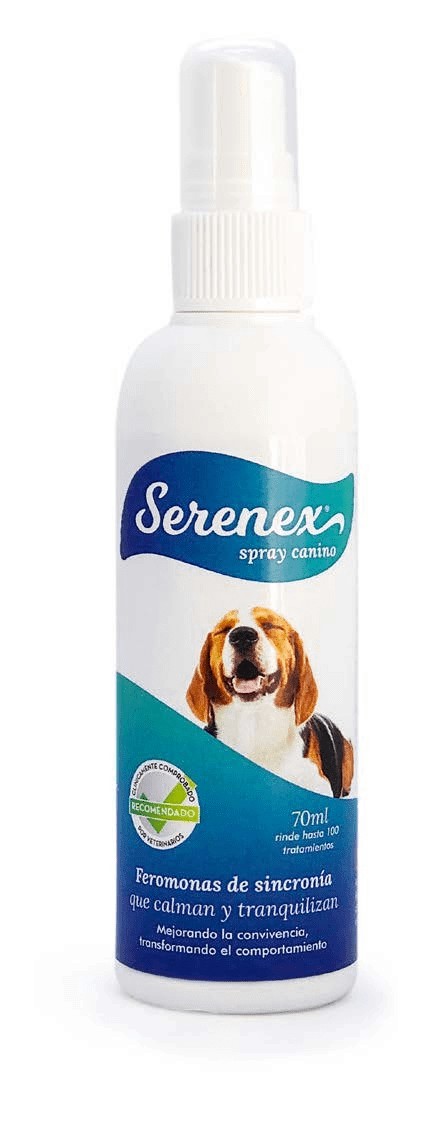 entre Descifrar Muchas situaciones peligrosas Serenex Spray perros que calma y que ayuda a reducir el estrés