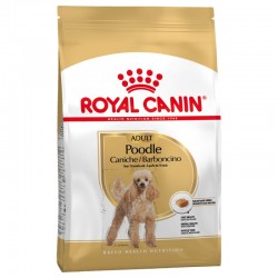 Royal Canin Caniche