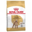 Royal Canin Caniche