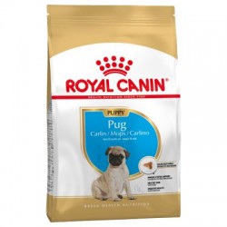 Royal Canin Carlino Junior