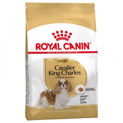 Royal Canin Cavalier King Charles