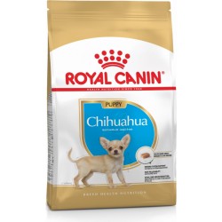 Royal Canin Chihuahua Junior
