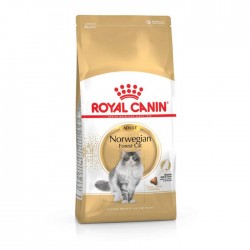 Royal Canin Norwegian Forest
