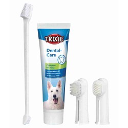 Set Higiene Dental