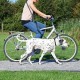 Ramal Bicicleta/Footing