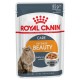 Royal Canin Intense Beauty Gelatina