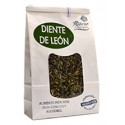 Hierba Ribero Diente de León